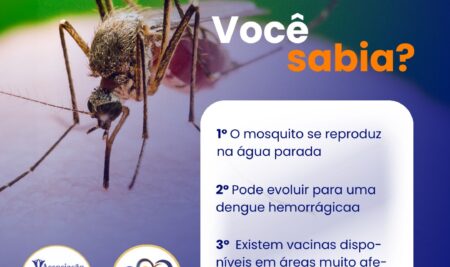 29 de Novembro – Dia Nacional do Combate a Dengue